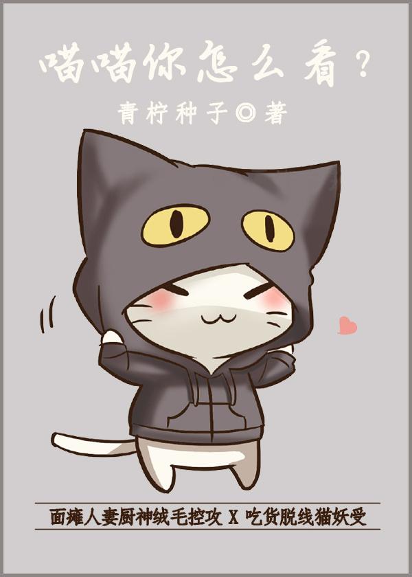 meow meow what do you think