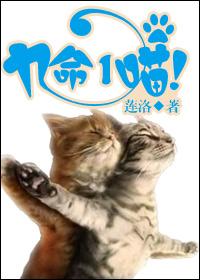 Nine Lives, One Meow