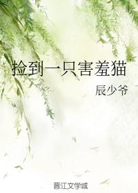found a shy cat
